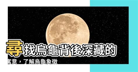 烏龜代表什麼意思|烏龜是什麼神？探索不同文化中的烏龜神明象徵與意義